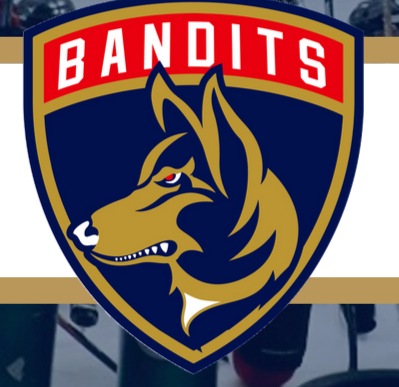 Ottawa Bandits Hockey