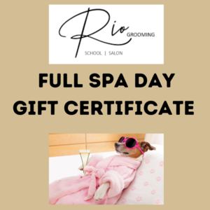 #100 Rio Grooming School & Salon Spa Certificate