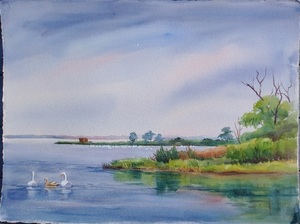 Swan in Cove Original Watercolor by Peggy Blades