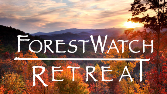 Georgia ForestWatch