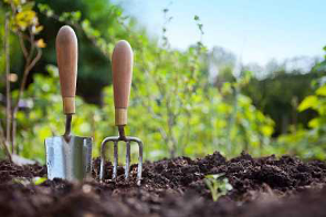 Team of GARDENERS!!