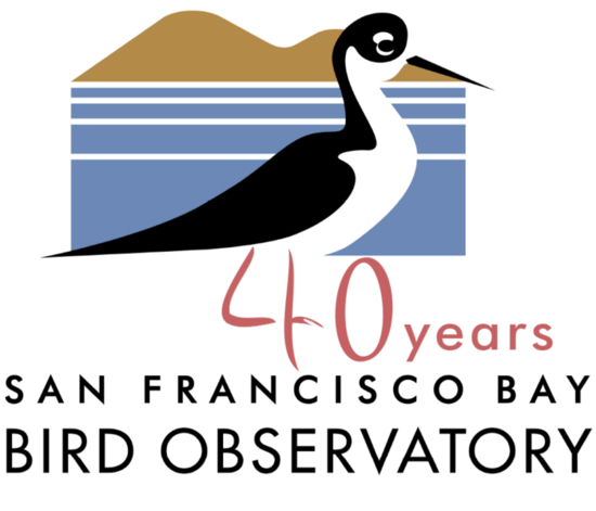 San Francisco Bay Bird Observatory