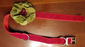 025 Festive Holiday Red Velvet Collar