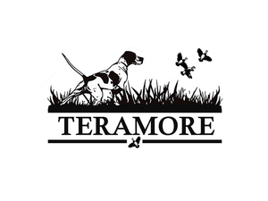 Teramore