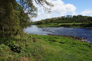 042. 2 Days fishing on the river Tay for 2 rods