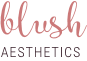 Skin Tune Up for 2 at Blush Aesthetics Perrysburg