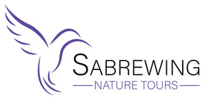 Sabrewing Birding Tour to Minnesota