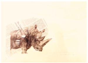 ""Rhino" by Helen Abe-Ichien