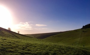 043. A Day's Shooting for 1 Gun in Chalke Valley