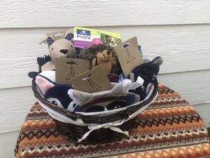 Doggy Hiking Basket