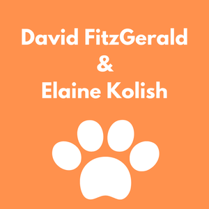 David FitzGerald and Elaine Kolish