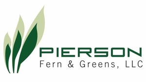 Pierson Fern & Greens