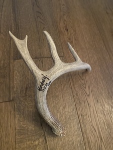 Whitetail Antler #1 signed by Kendall Jones