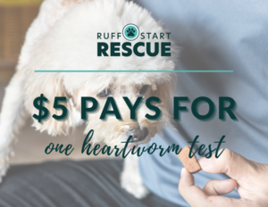 #1 $5 Donation to Ruff Start Rescue