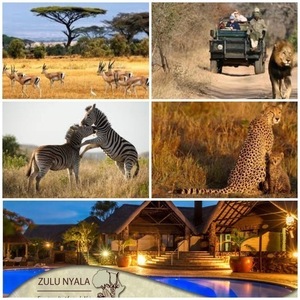 Photo Safari Package for Two