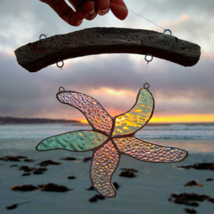 Sea Star Sun Catcher