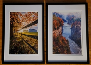 Framed Art Photographs by Brandon Sprung Arts