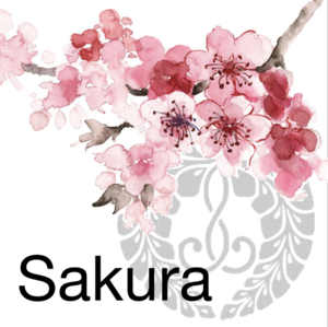 03) SPONSORSHIP: SAKURA Level