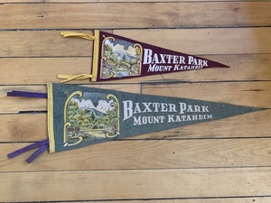 Vintage Felt Pennants