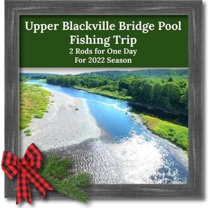 047 - Upper Blackville Bridge Pool Fishing Trip