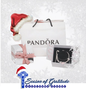 PANDORA™ Classic Bracelet with Beautiful Charms!