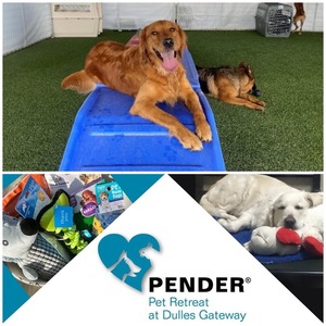 Pender Pet Retreat Two-Night Stay