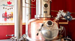 Craft Distillery Tour & Tasting for Six