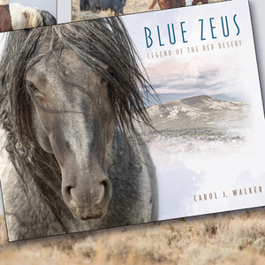 Blue Zeus: Legend of the Red Desert