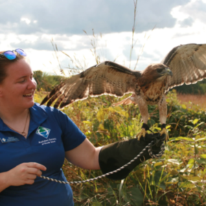 Feed the Raptors for a Week