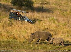 South African Photo Safari for Two