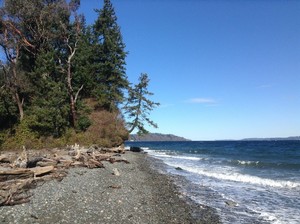 Beach Walk and Geologic Talk // Vashon Rocks! #2