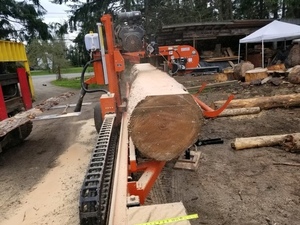 Custom Lumber Milling -- $100 -- "What's Your Cut"