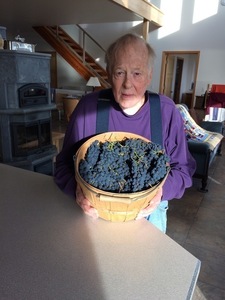 Pinot Noir Wine from the late Jack Regan's Orchard