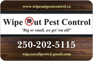 Residential pest control services - Package 1