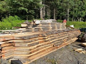 Custom Mobile Sawmilling to YOUR Property