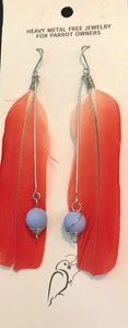 Congo African Grey Earrings