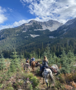 2x Half Day Horseback rides