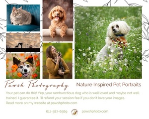 Pawsh Photography Voucher toward prints/album