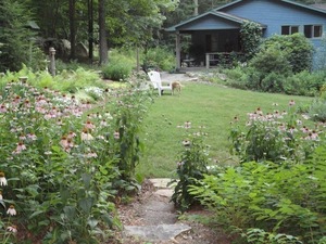 BID: Landscaping consultation #2 by Alan Johnson