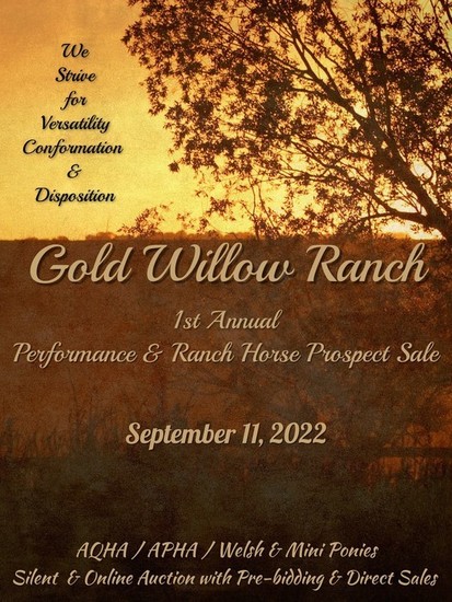 Gold Willow Ranch 1st Annual Horse Sale