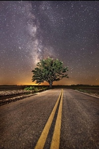 Burr Oak Night Sky by Bob Crow