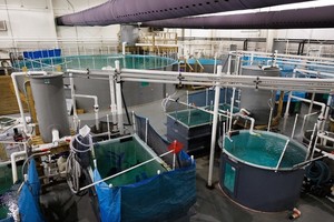 Item #012: Animal Care Facility Special Tour