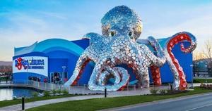 Aquarium at the Boardwalk