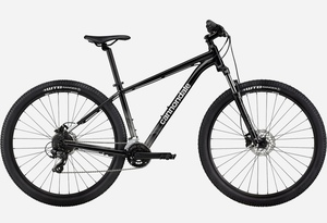 LA9 - Cannondale Mountain Bike