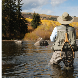 Full Day Guided Fly Fishing Tour