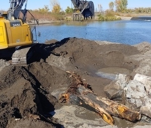 Root Wad for Fish Habitat