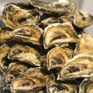 Two Tickets for Oyster Shucking 101
