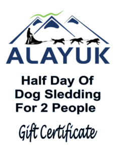 Half Day Of Dog Sledding for 2 People