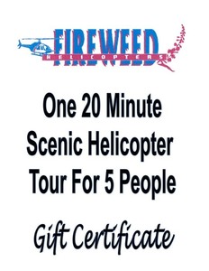 20 Minute Scenic Helicopter Tour