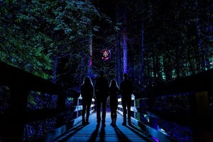 Vallea Lumina Tour for 2